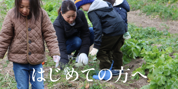 はじめての方へ