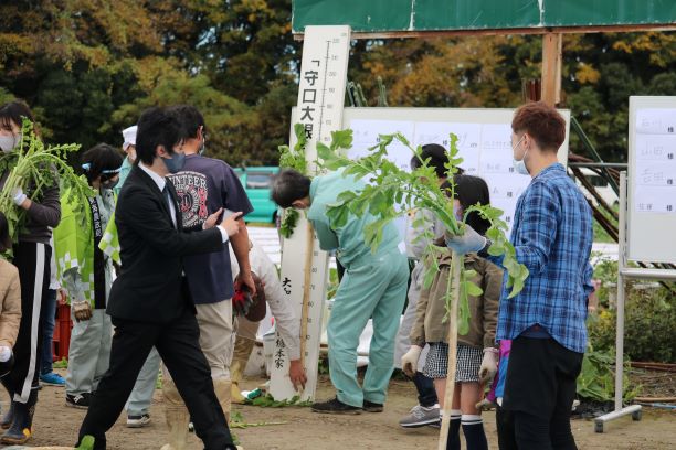 大根の長さを計測