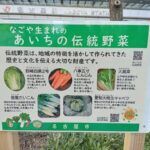 名古屋市の伝統野菜の看板