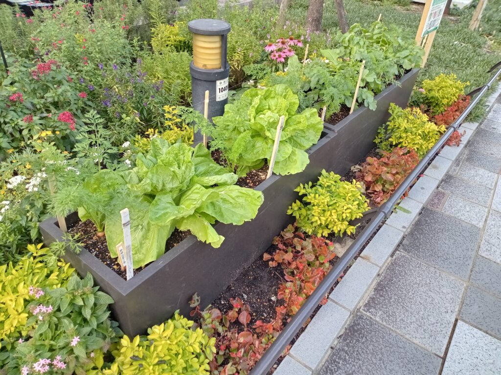 名古屋駅前「花の環花だん」