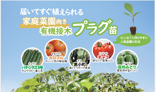 家庭菜園は有機苗で持続可能農業を！【PR】 – 【日本伝統野菜推進協会